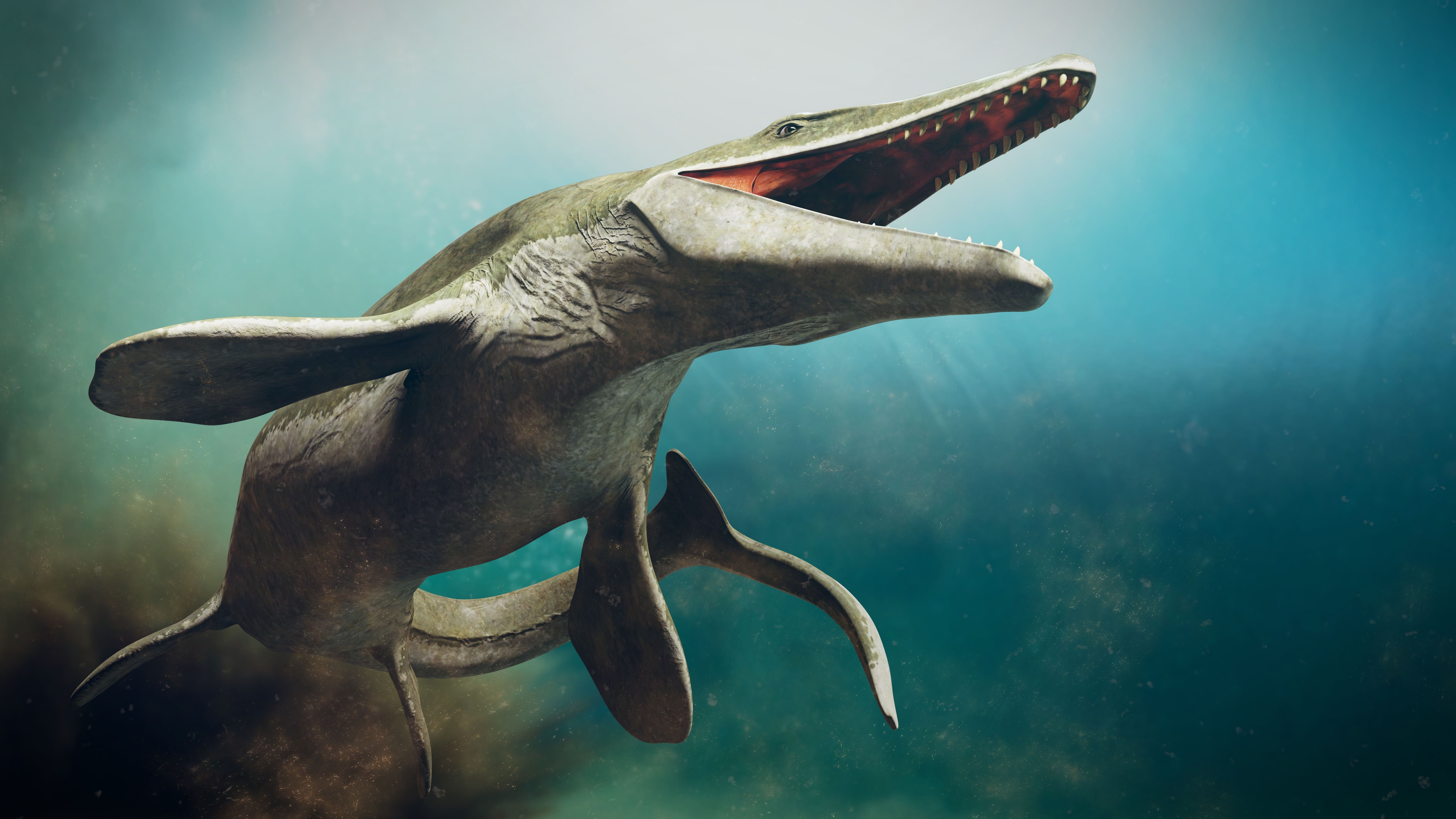 An artistic depiction of a prehistoric Mosasaur swimming in the ocean