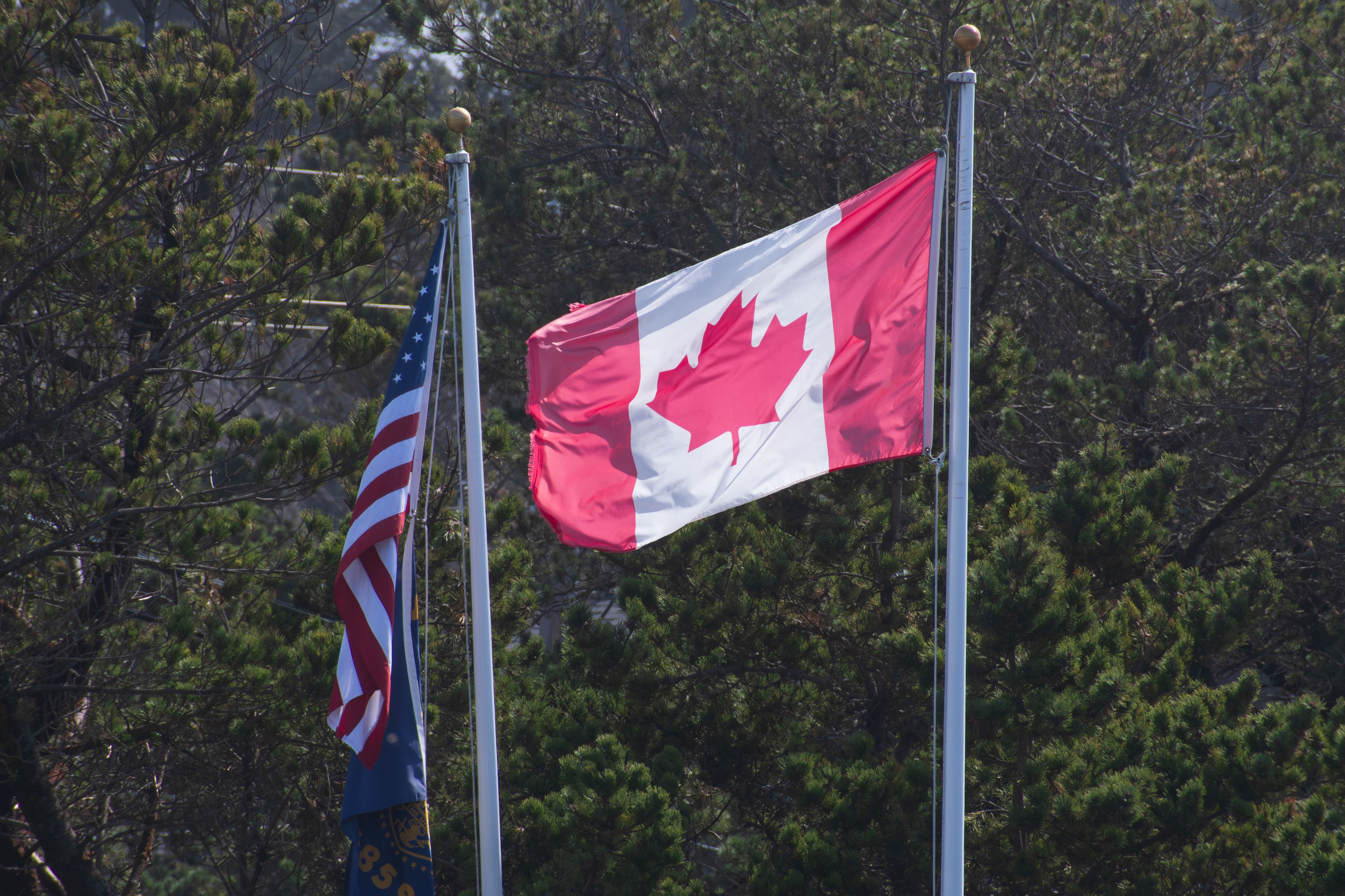 Americans Rejoice As Canadian Tourism Finally Takes An Unexpected Spike Over A Special Offer In This City