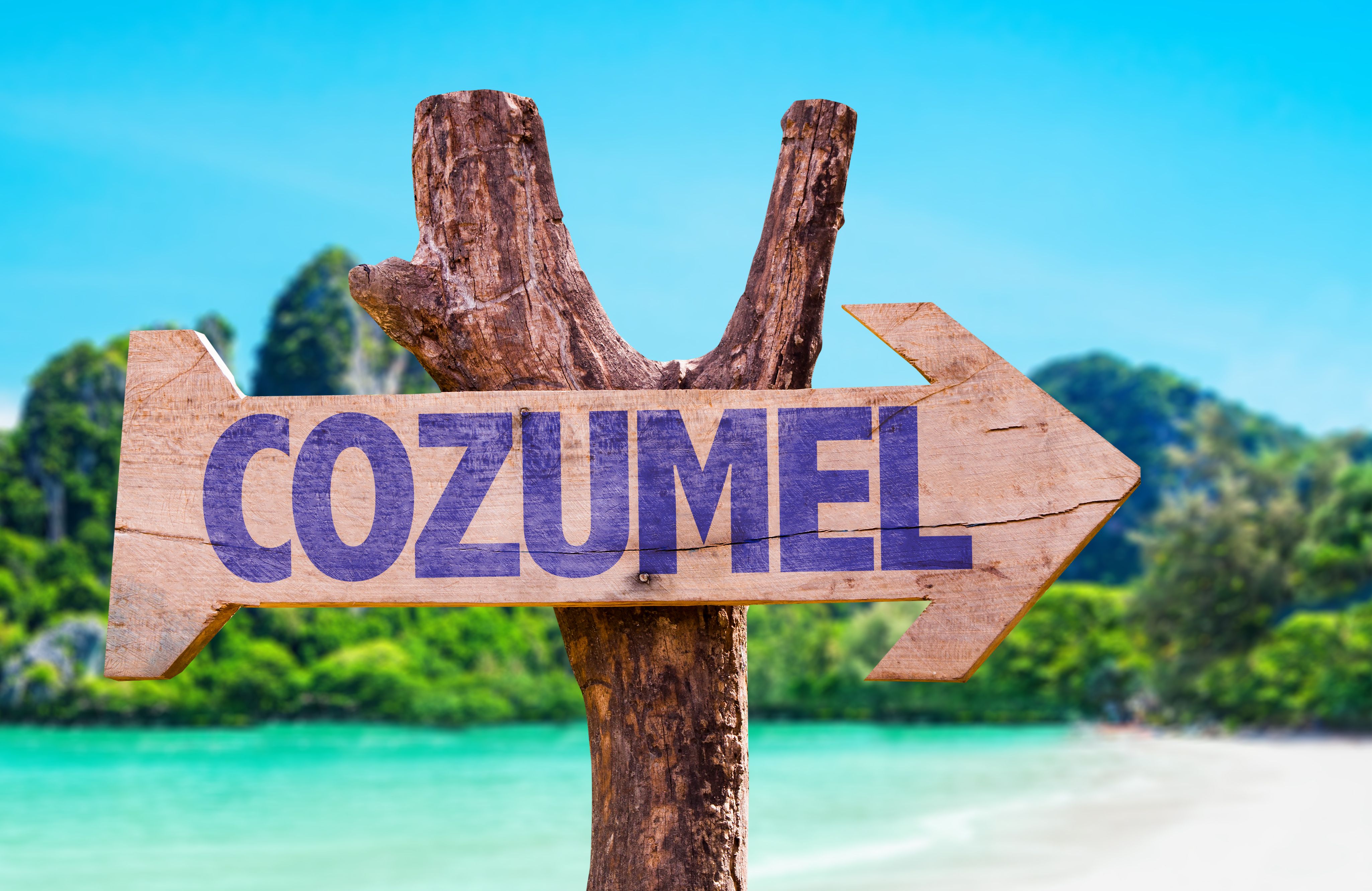 Mexican Government Praised After Scientists Are Called In To Solve Nagging Beach Issue That Won't Go Away