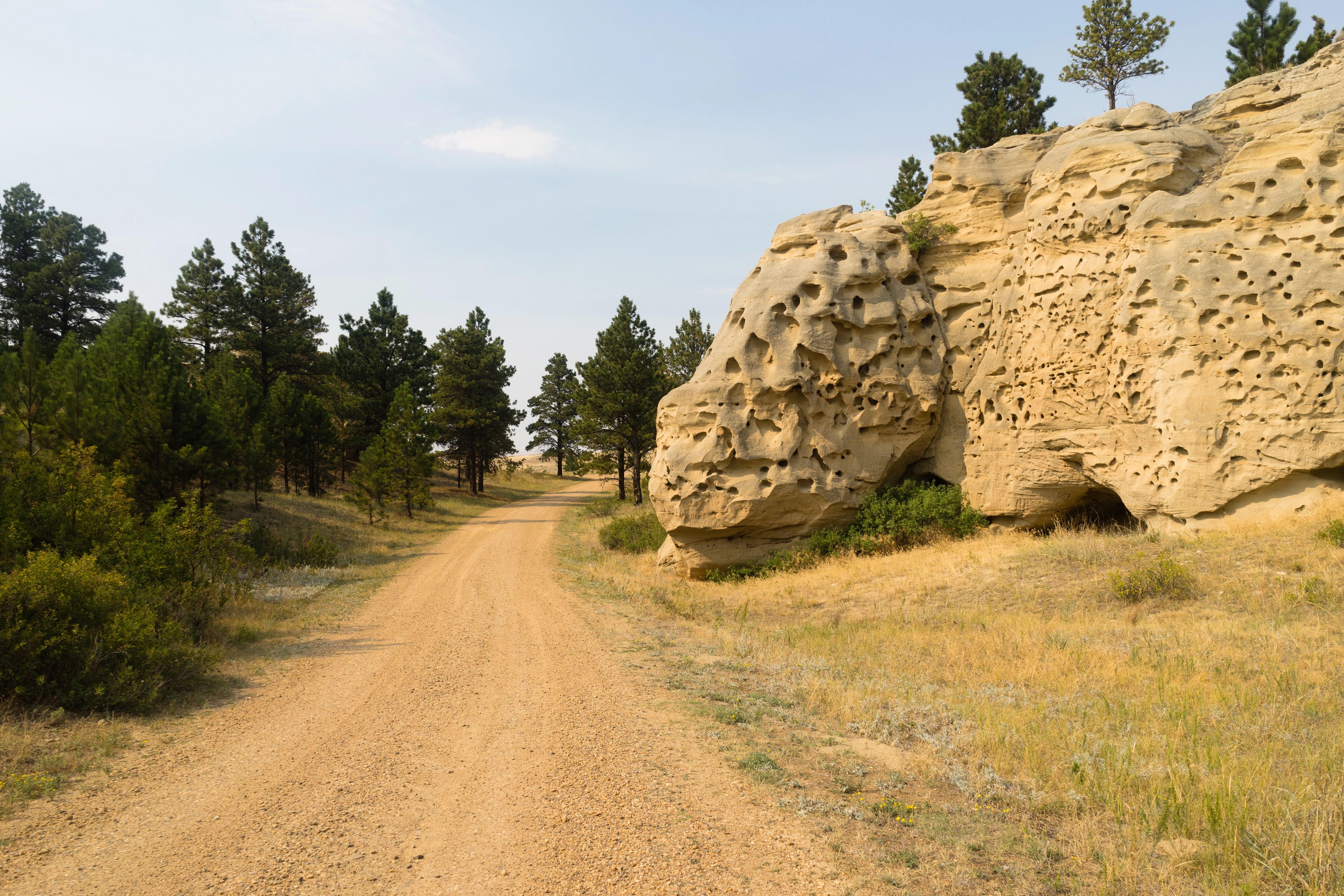 A path between trees and rock formations in Medicine Rocks State Park near Ekalaka, Montana 