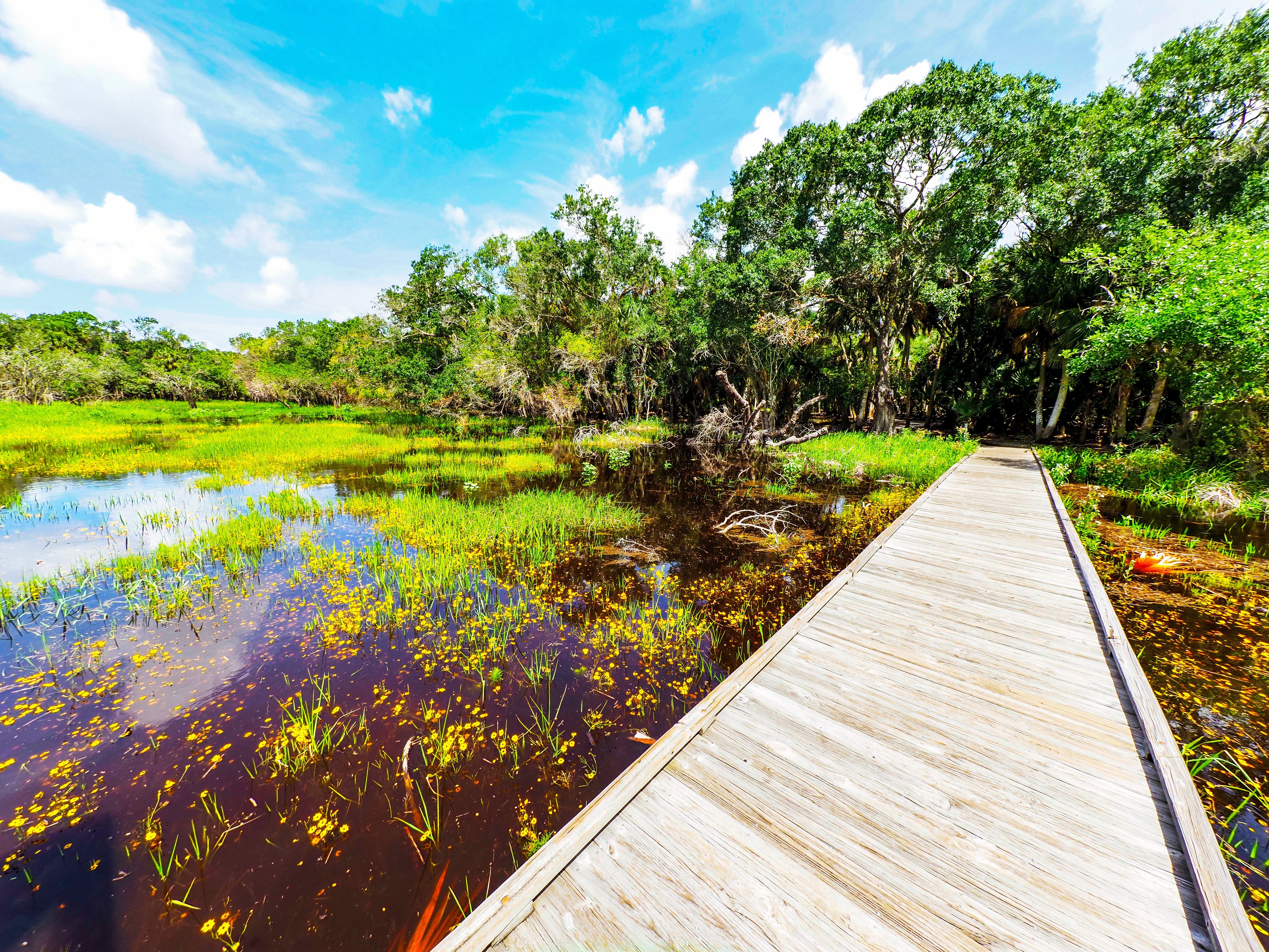 Myakka River State Park in Sarasota Florida in the United States