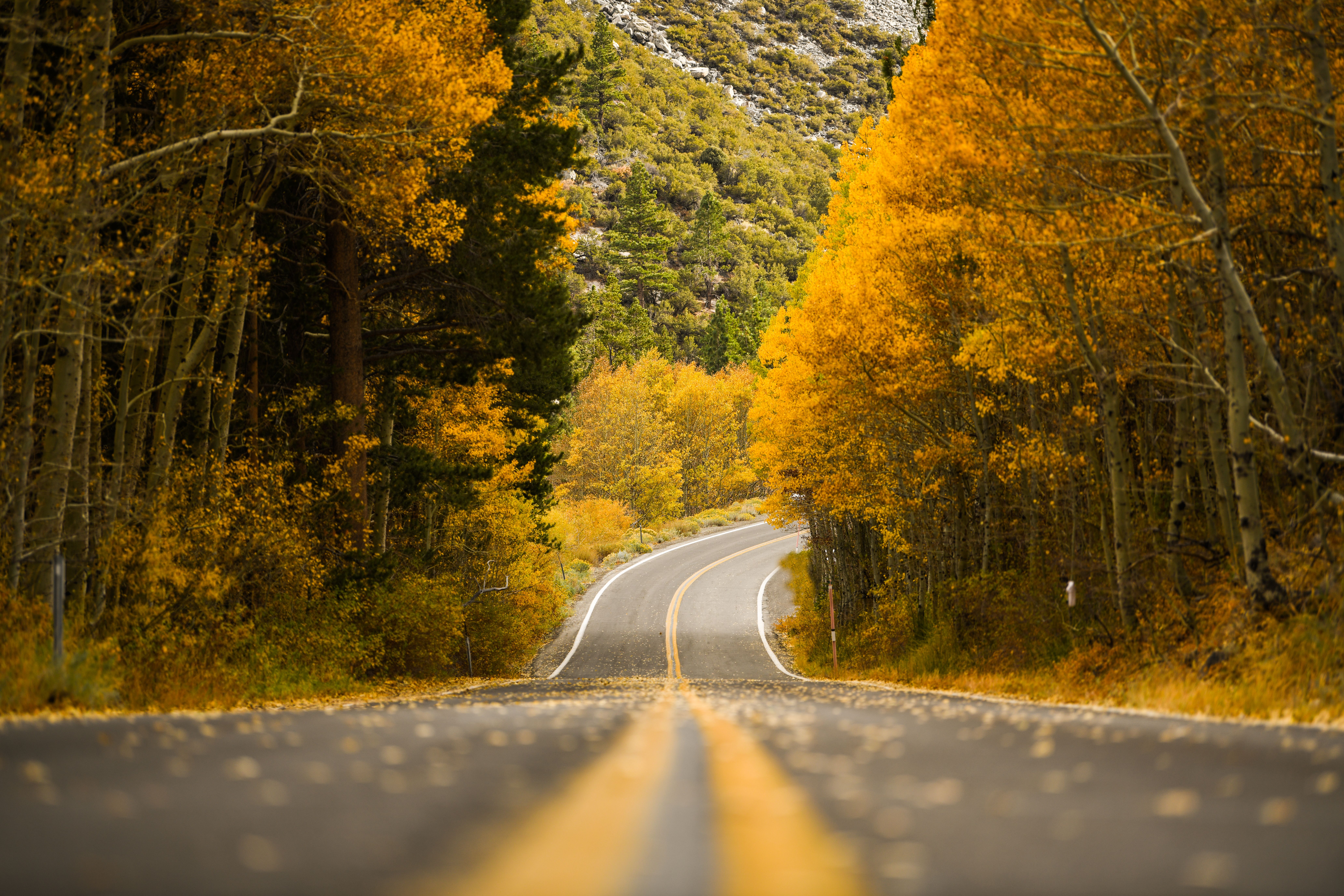 This California Road Trip Is Definitely Bucket-List Worthy