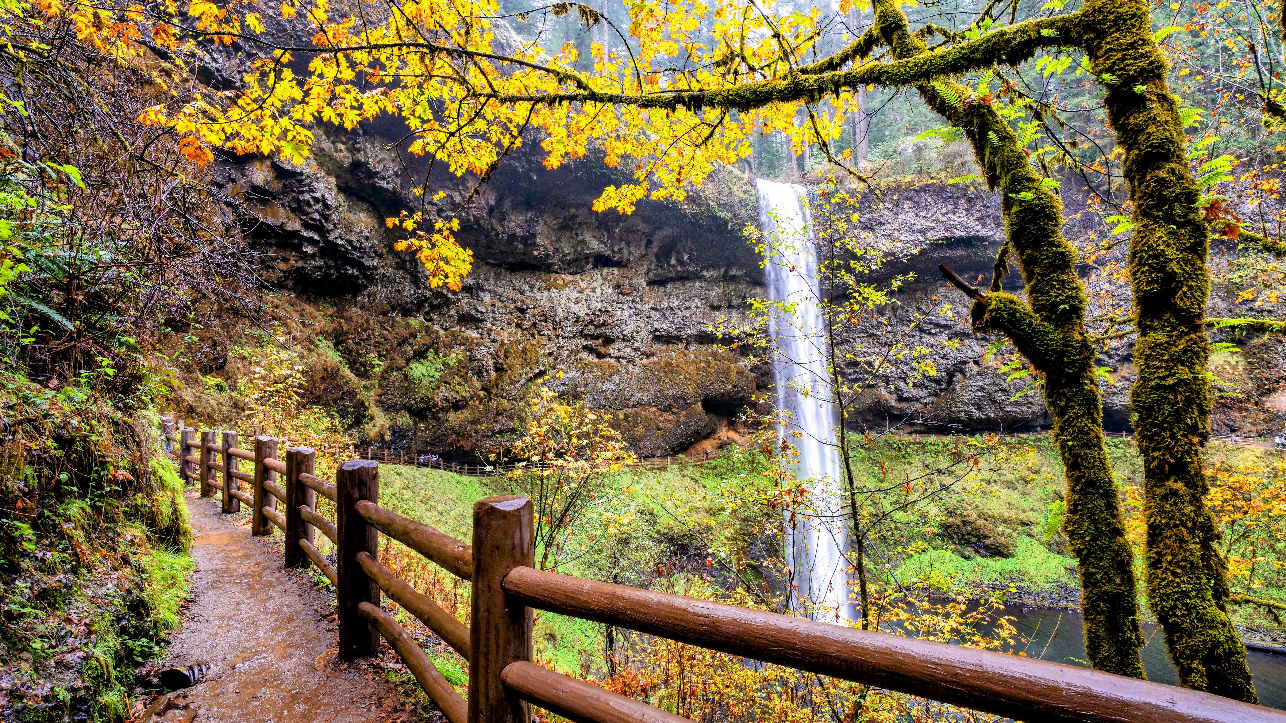 Silver Falls State Park, Oregon, USA