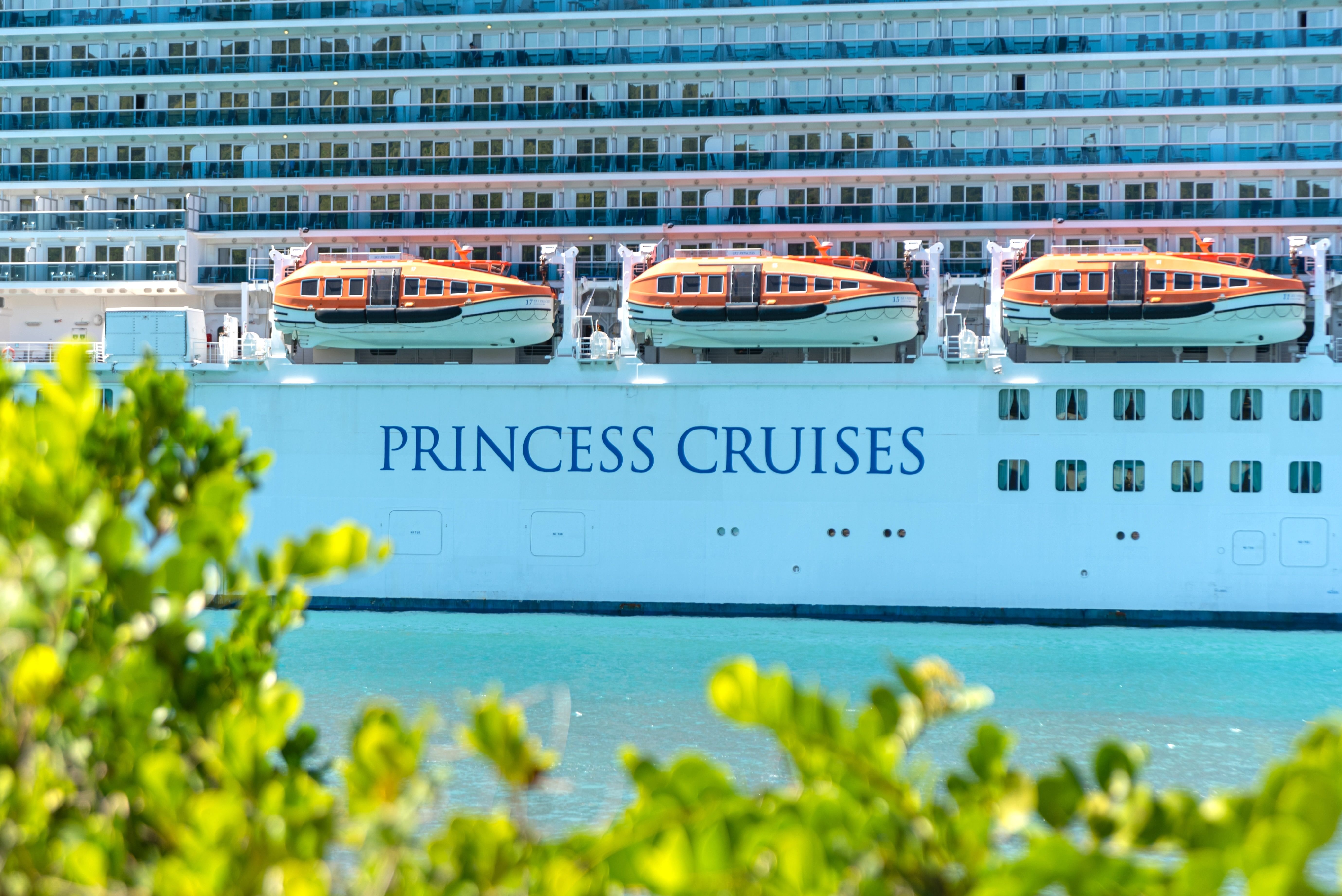 A close-up of the Princess Cruises logo.