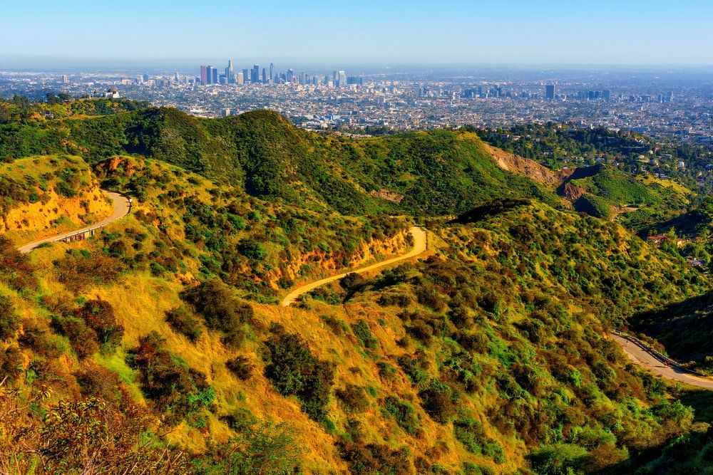 The tranquil beauty of Griffith Park's emerald hills, traversing its meandering trails while beholding the majestic backdrop of Los Angeles' skyline