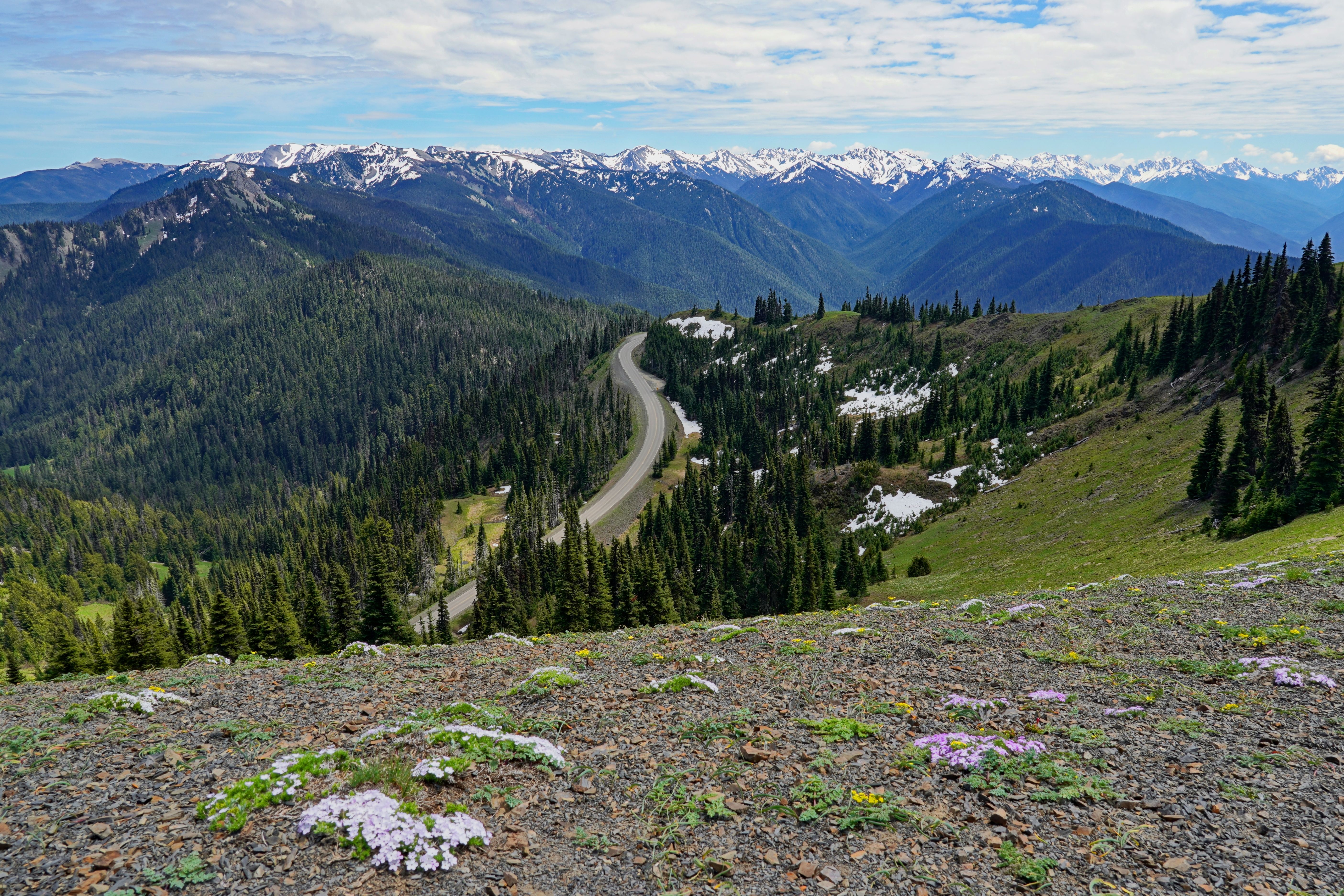 Road leading up to Hurricane Ridge in Olympic National Park