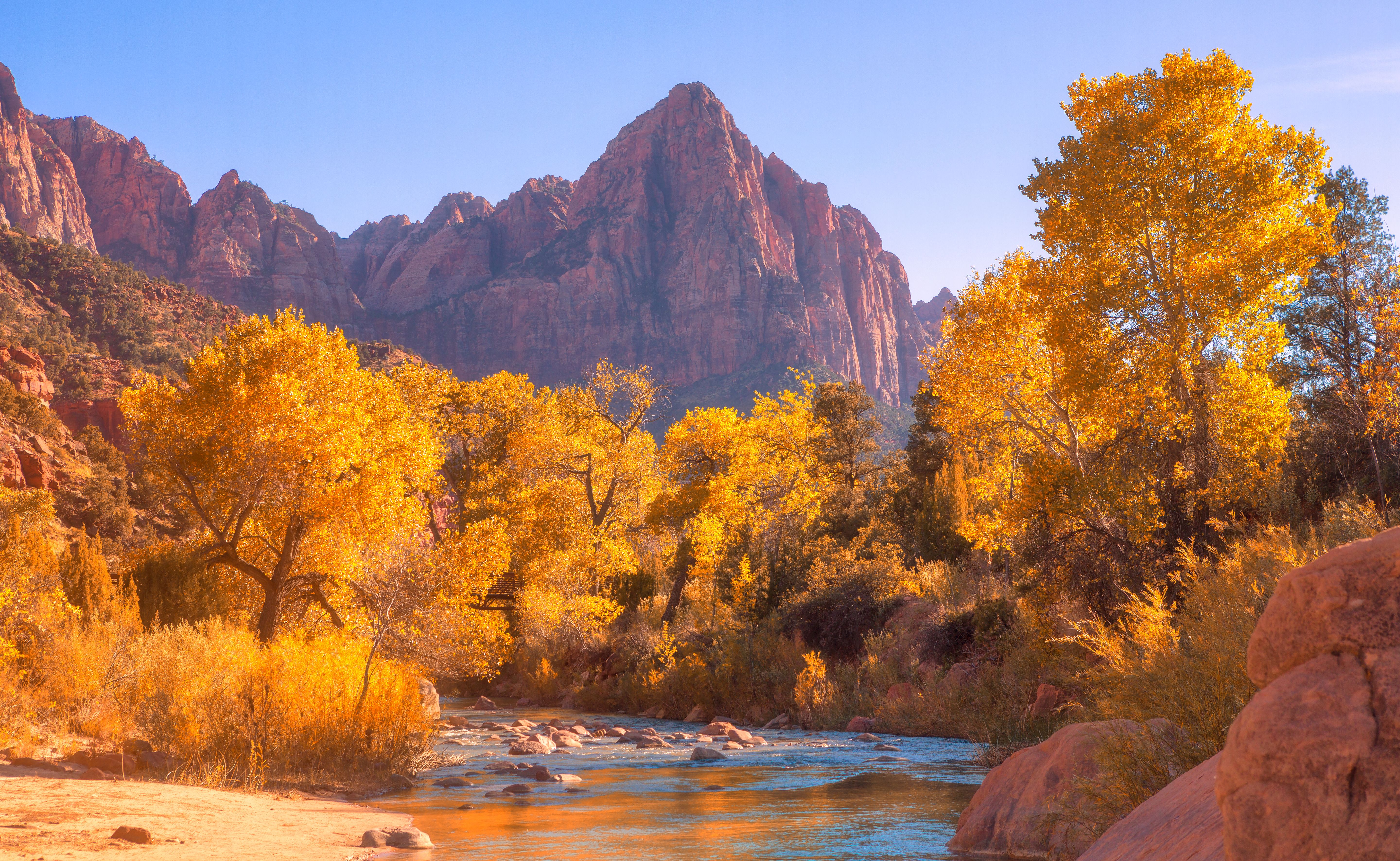 View of the Watchman mountain and the virgin river in Zion National Park located in the Southwestern United States, near Springdale, Utah