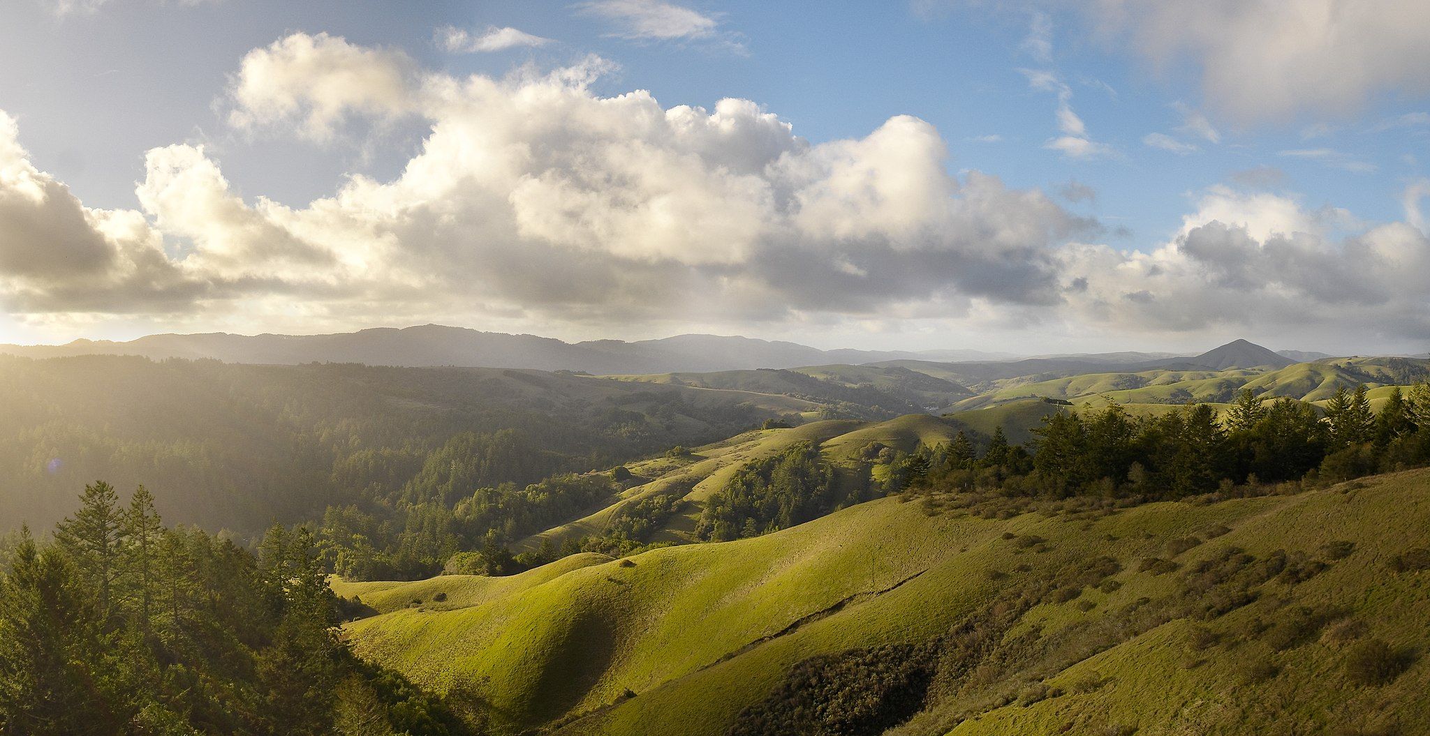 The view from Barnabe Fire Road in Samuel P. Taylor State Park, California, USA