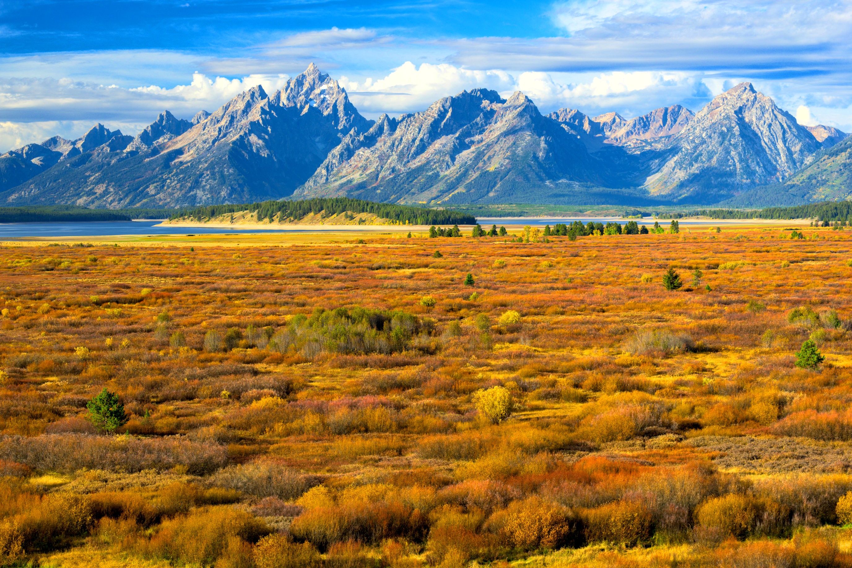 NPS Reports Hundreds Of Visitors Potentially Exposed To Deadly Disease At Popular U.S. National Park