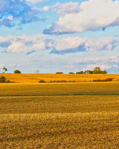 Indiana