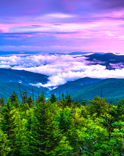 North Carolina