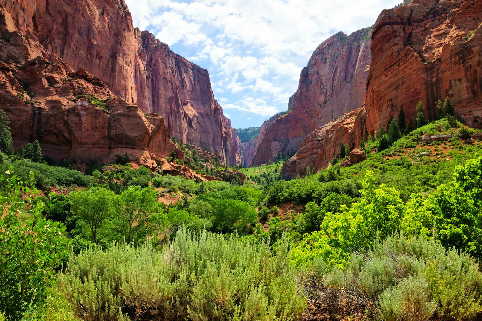 A view through the red cliffs of Kolob Canyon in Zion National Park, Utah.