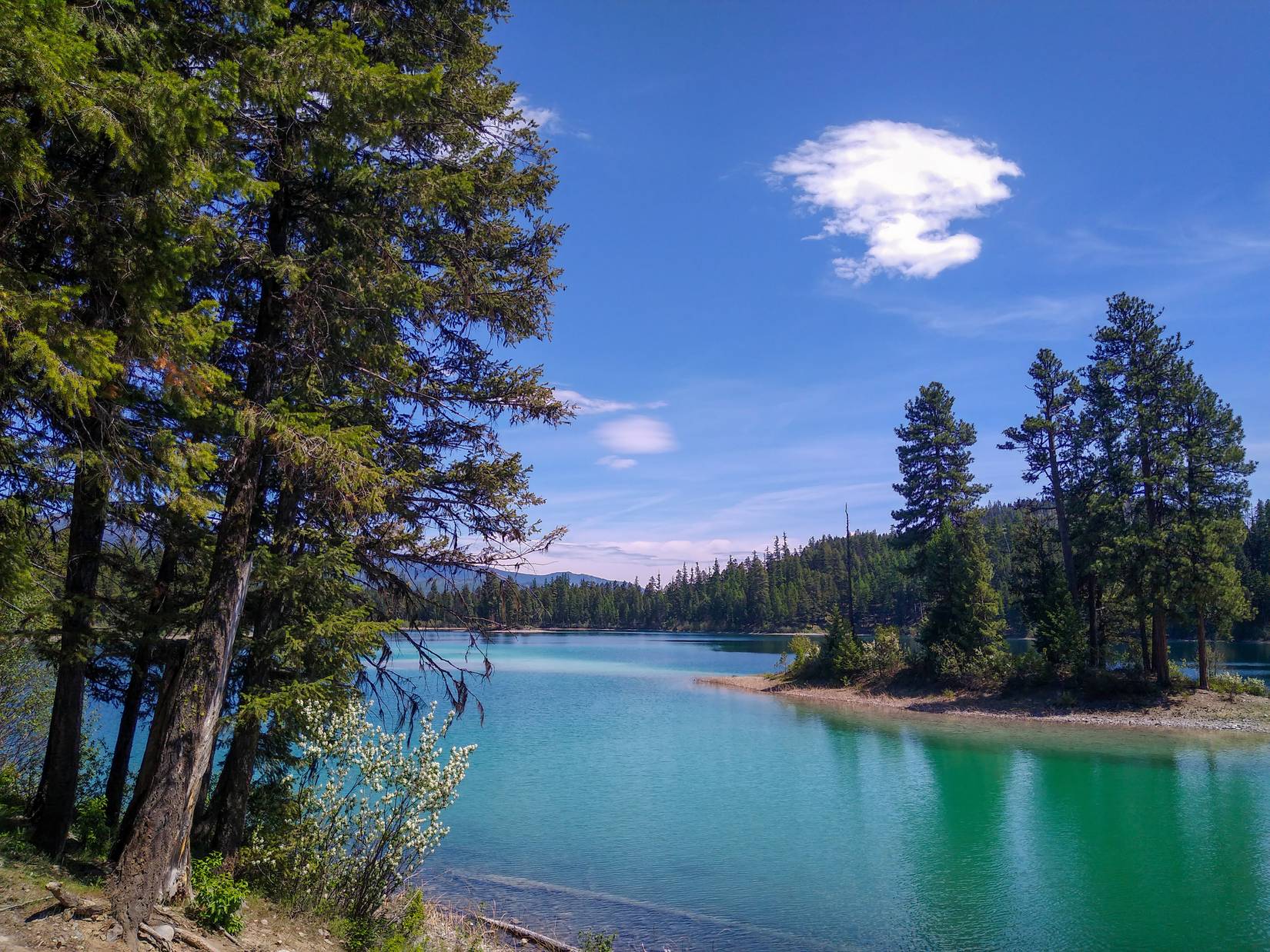 beautiful horseshoe lake in Montana