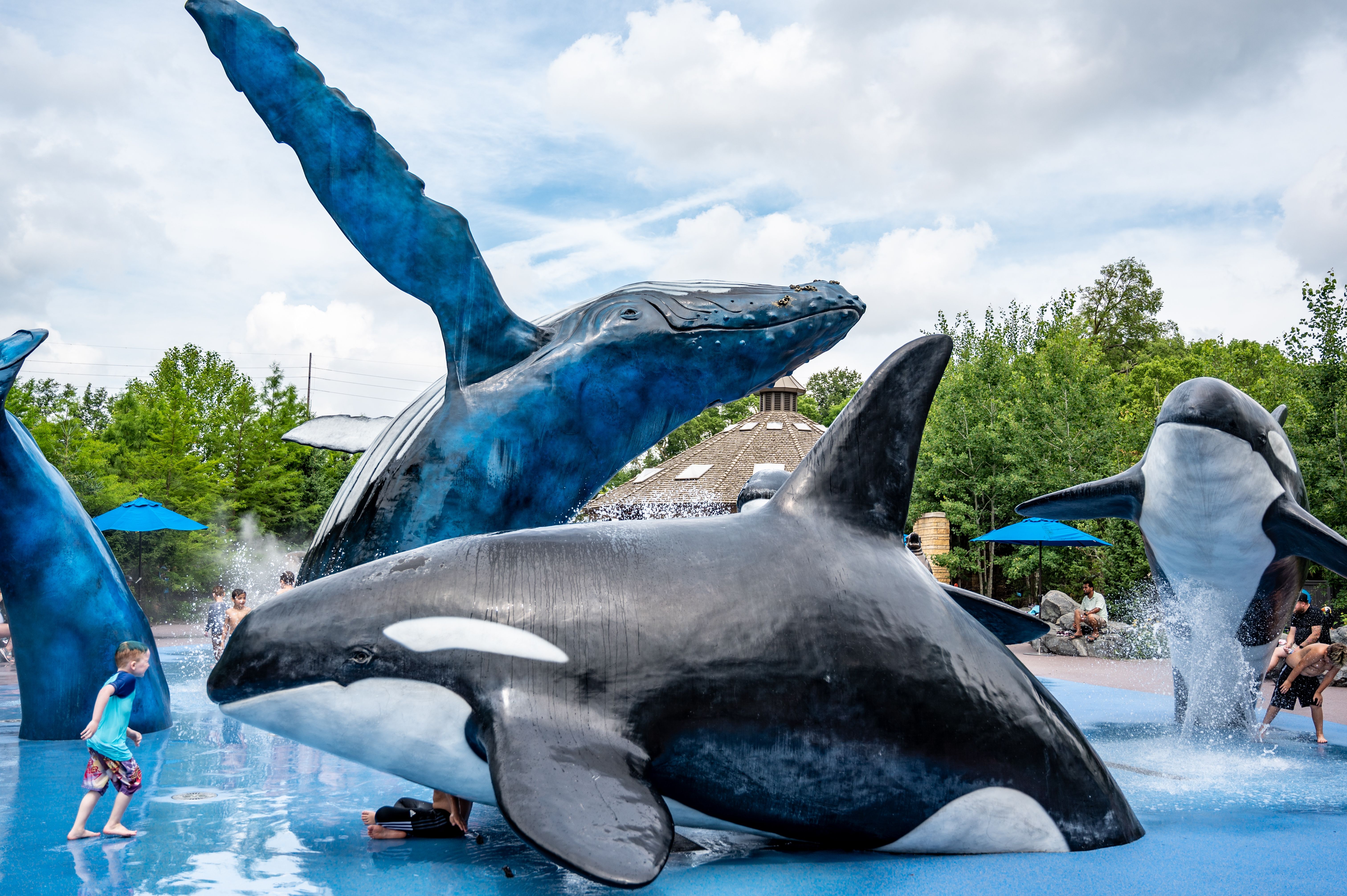 Scott Alaskan Adventure Park in Omaha’s Henry Doorly Zoo 