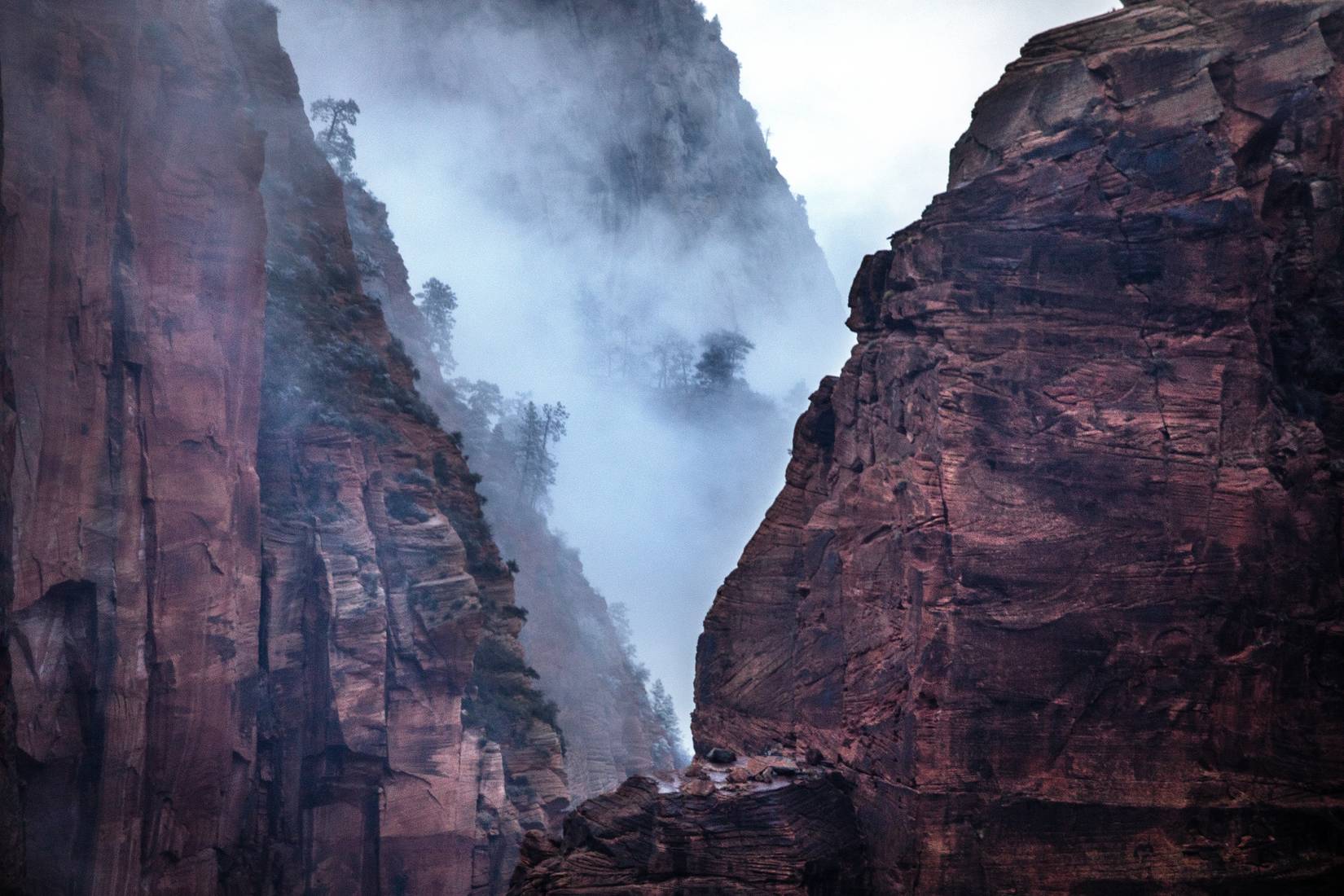 Fog in Zion National Park during monsoon season