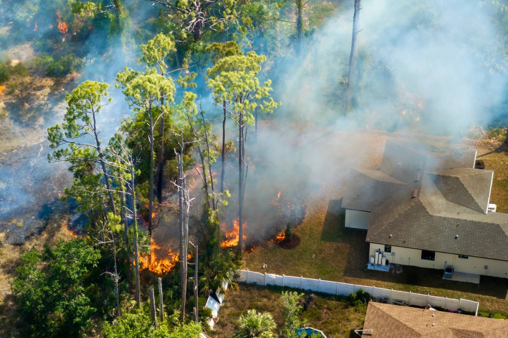 A Florida wildfire near homes. 