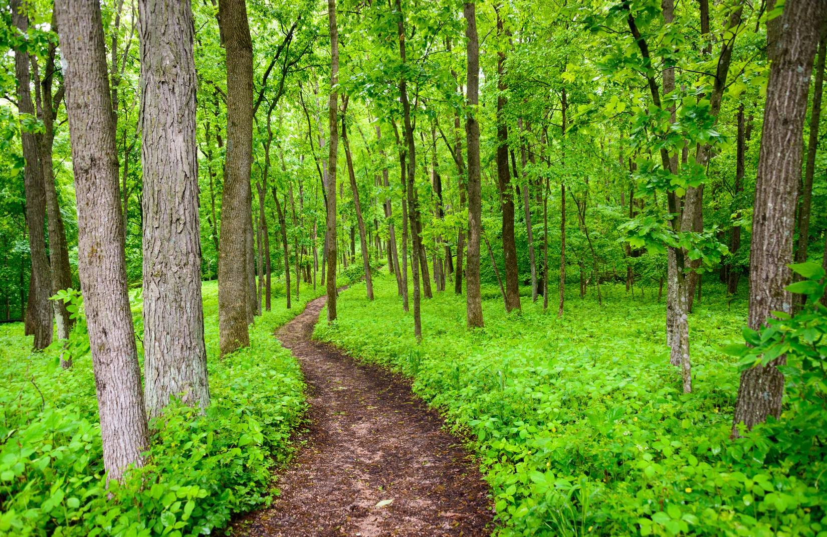 Effigy Mounds National Monument in the Driftless Area in Iowa