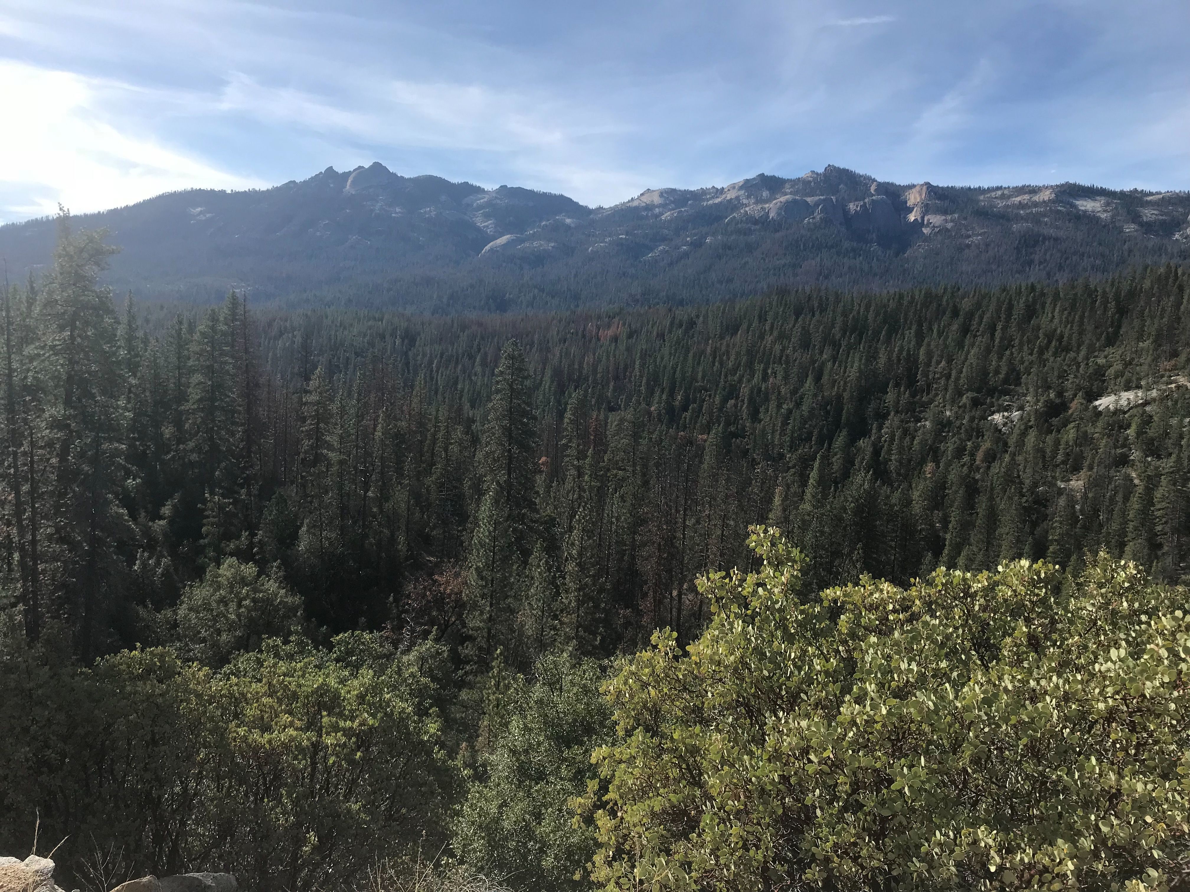 Sierra National Forest, California